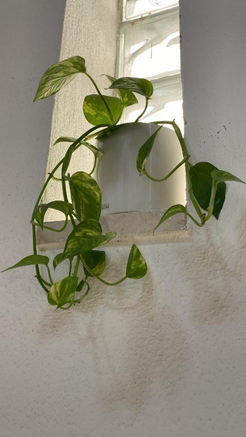 Locanda Le Ginestre Cantalupo in Sabina Buitenkant foto
